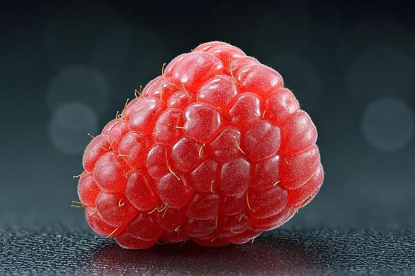 Rubus sachalinensis